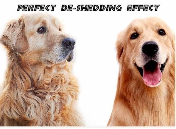 🎁Pet Safe Dematting Comb